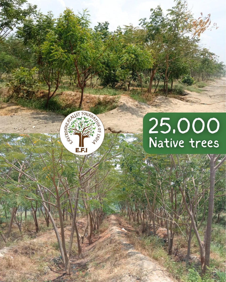 Environmentalist Foundation of India tweet media