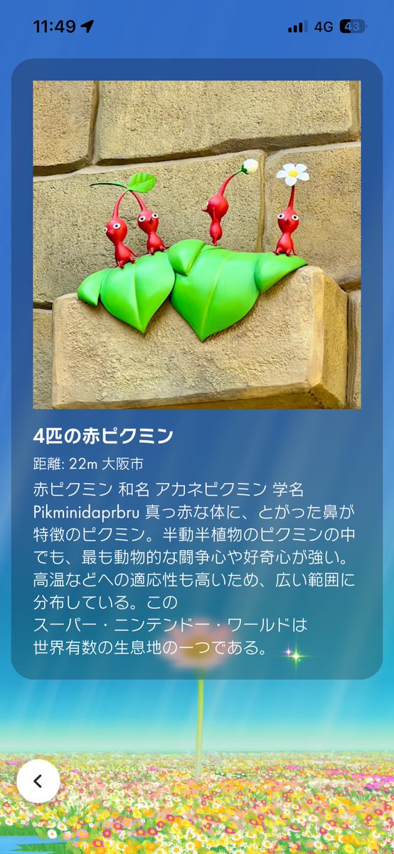 ピクミン、ポケモン、ドンキーコング　ソフトまとめ売り ヨッシーとドンキーコングのアトラクションはパス取れなかったので並
