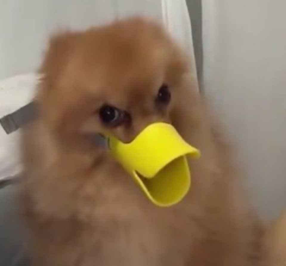 vivi it girl ୨୧ tweet media