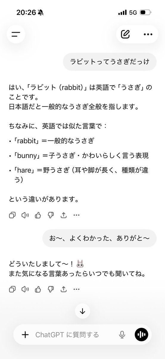 mgnpg's tweet photo. ちゃっぴ〜にうさぎのこと聞いたらうさぎの絵文字つけてくるのかわいいなw https://t.co/oMLsfMRuRg