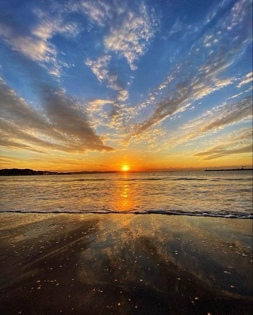 Aesthetics (@aestheticspost_) on Twitter photo 