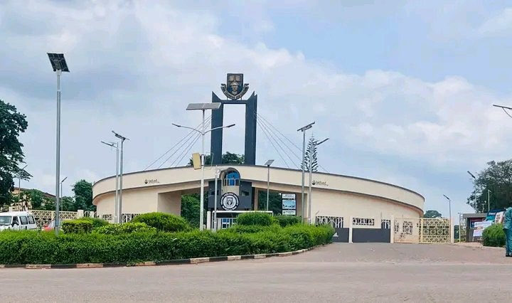 The Icon Organization OAU tweet media