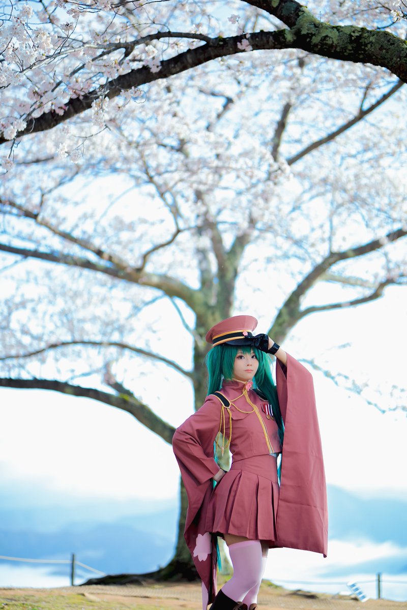 コスプレ/ cosplay
初音ミク

☁️🌸千本桜🌸☁️

📸<a href="/COSPASHA7/">ハヤシカメラ📸✨スタジオ🏮京都下鴨茶論🦆 コスプレイベント➡️鴨コス🦆代表</a> さん

#鴨コス
#わだやま竹田お城まつり