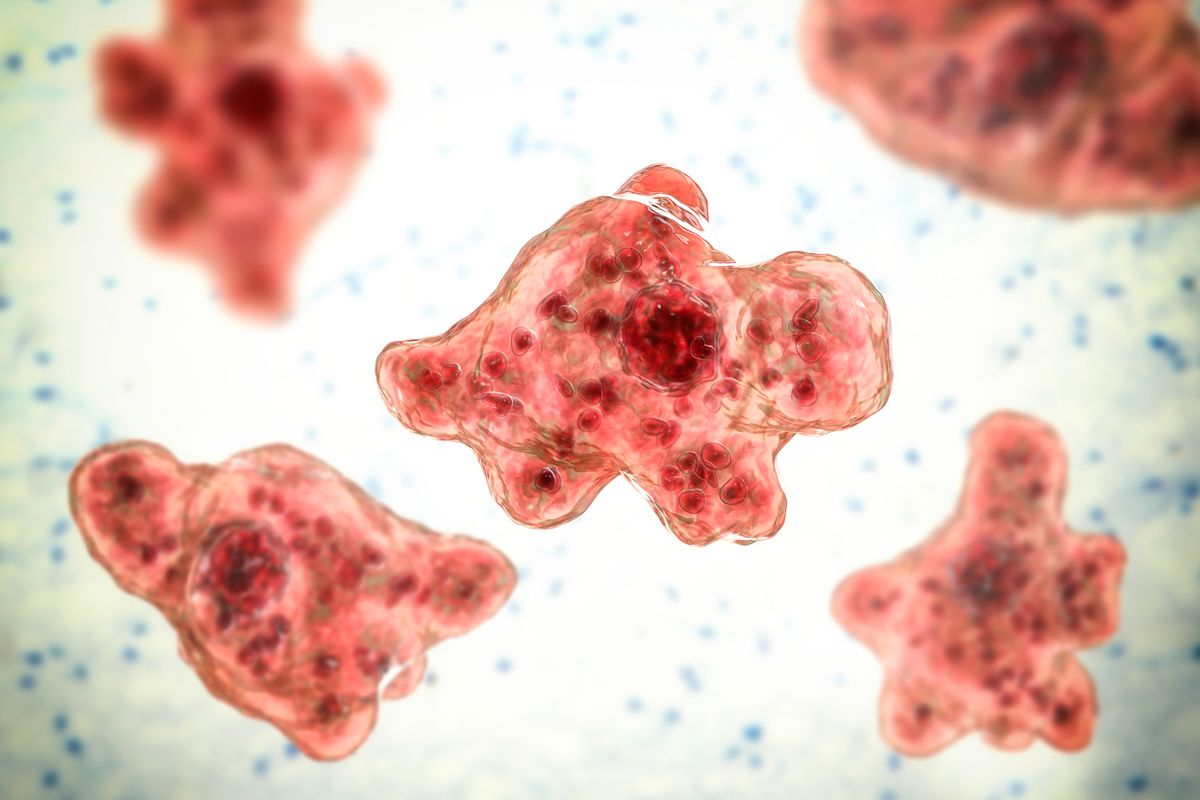 SFGate's tweet photo. Brain-eating amoeba detected in western national park waters https://t.co/gRe4b1iNV1 https://t.co/dH5r0LTodQ