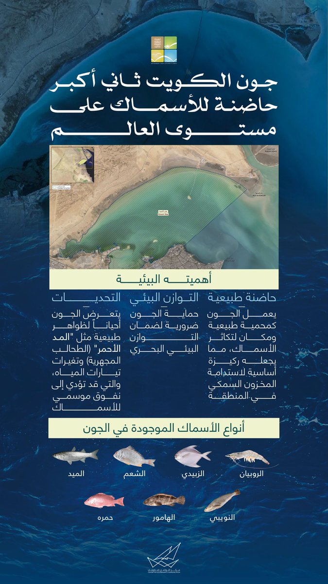 مركز التواصل الحكومي tweet media