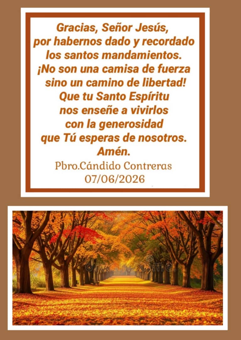 Cándido Contreras tweet media