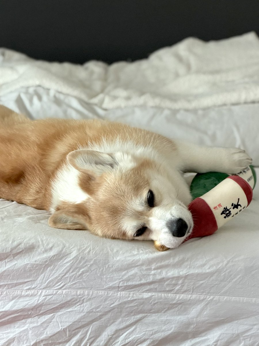 飲んだくれて、寝てた・・・Σ(
