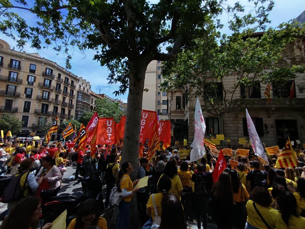 CCOO Educació tweet media