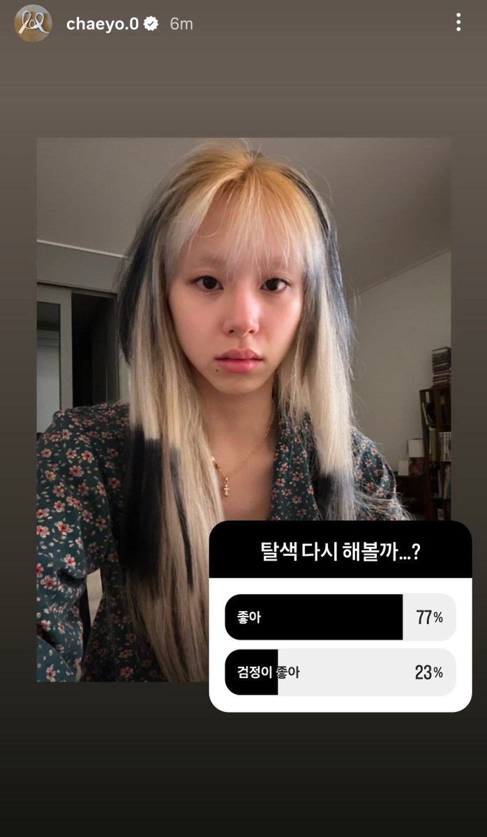 godmitzu's tweet photo. Chaeyoung is doing a poll asking if she should bleach her hair again:

1. Yes
2. I like black https://t.co/2w35anE6HI
