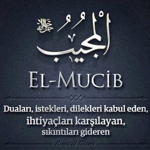 Allah'ım. Bu duaya amin yazan herkese, helâl ve güzel bir rızık ver, dualara karşılıksız icabet et, fakirlikten, yoksulluktan, başkasına muhtaç kalmaktan sana sığınırız.