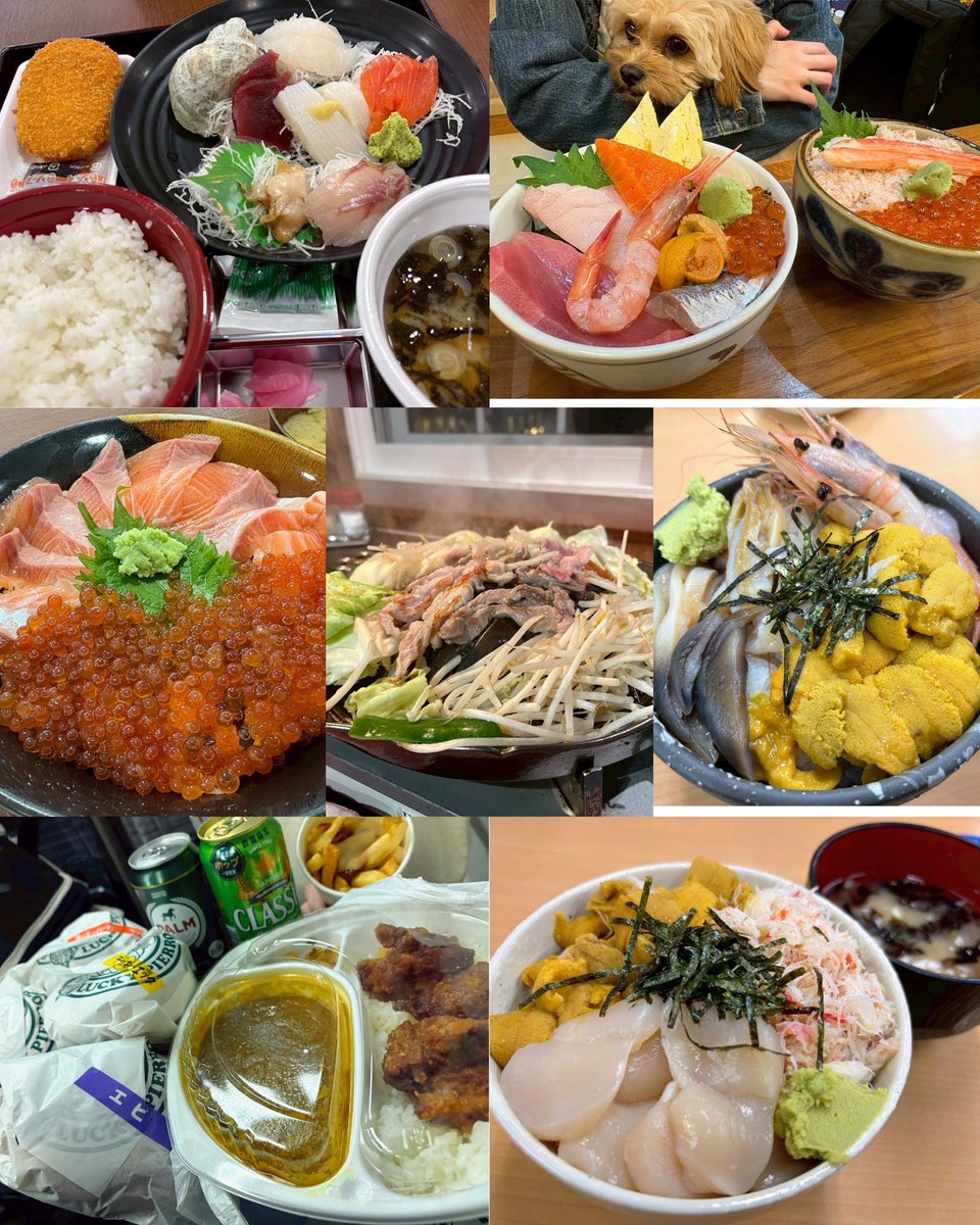 so_ta199810's tweet photo. GWは函館へ！海鮮は勿論、ラッキーピエロにどハマりして毎日食べた🍔わんこは五稜郭の芝生がお気に入り https://t.co/x2VfcCDFY0