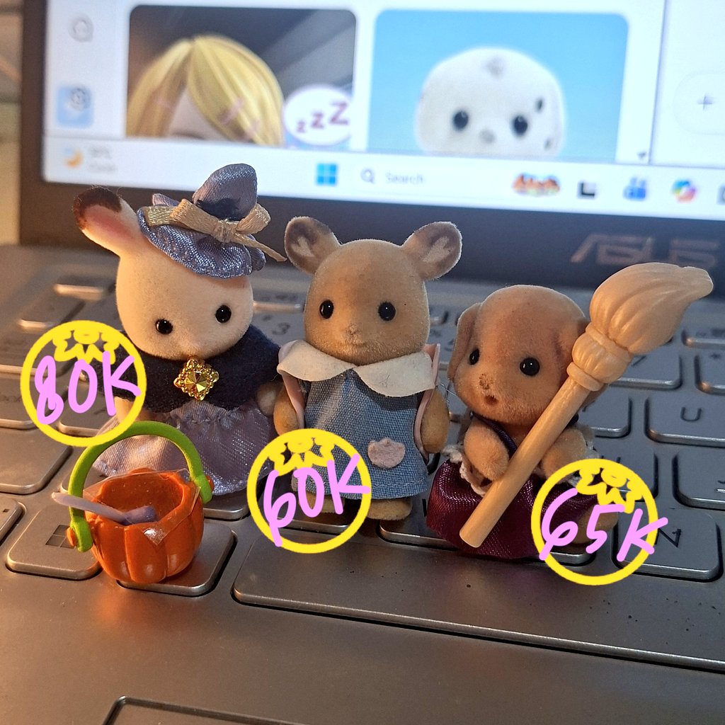 baeggyj's tweet photo. wts sylvanian include acc bisa oyen exclude admin rd ina 
minat dm https://t.co/5f0w5YH301