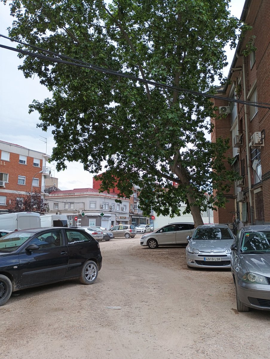 A.A.C. Colonia Experimental Villaverde Madrid tweet media