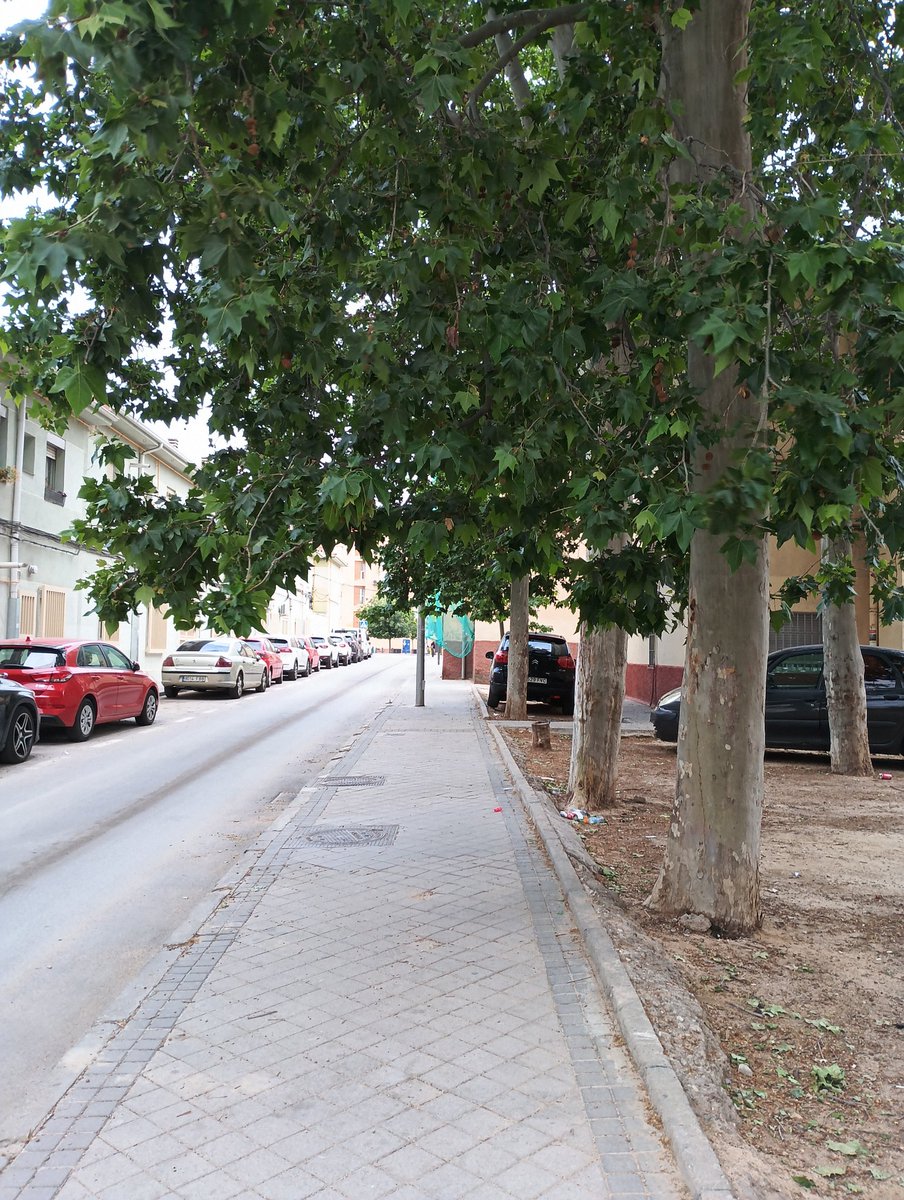 A.A.C. Colonia Experimental Villaverde Madrid tweet media