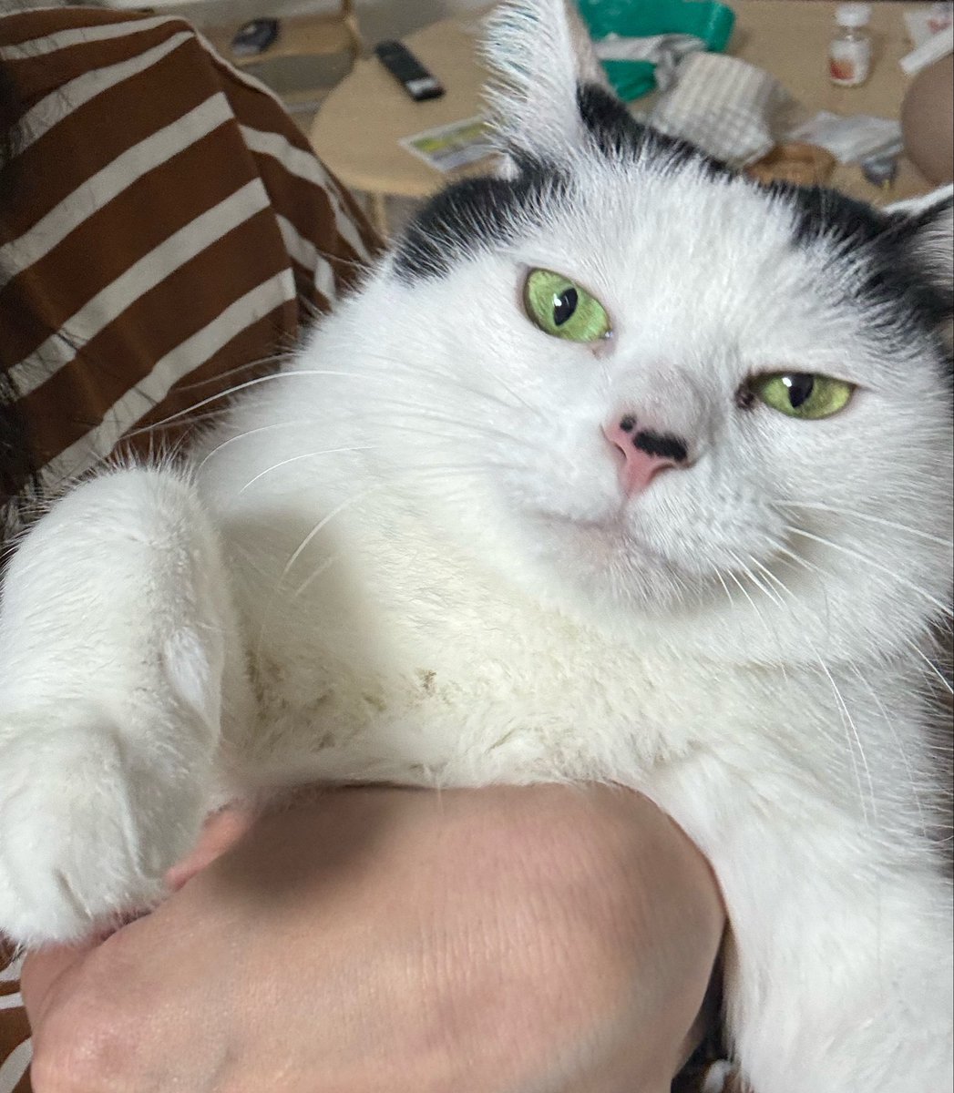 おつかれ
めかぶだ

きょうのてんきは はれ
きおんは あつい

れんきゅう
おわった
かなしい
おやすみは なんで
こんなおわるの はやいのか