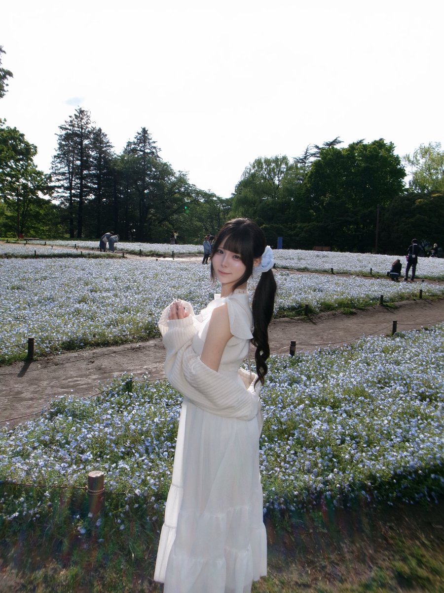 mu_te_kill's tweet photo. もうネモフィラおわった??
 #自撮り界隈  #昭和記念公園 https://t.co/EeS6ib7sOM