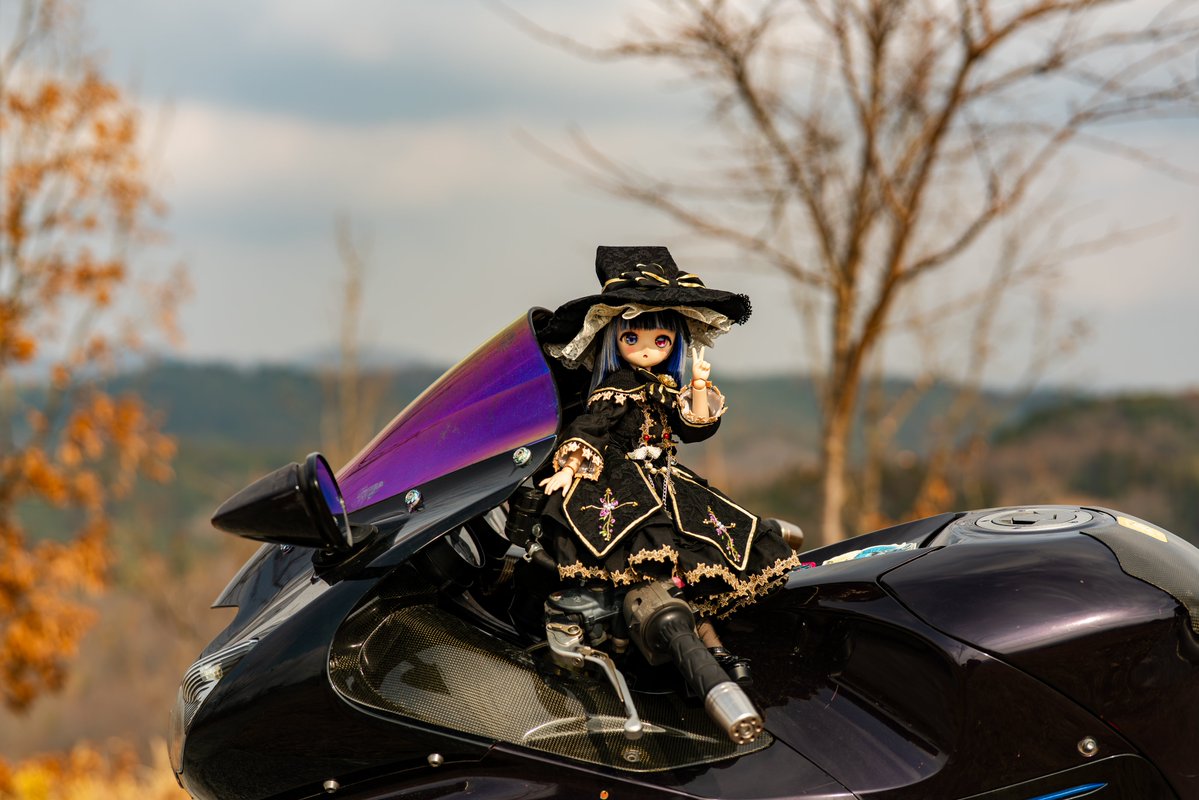 あなたの真っ黒ドールちゃんみせてください うちの黒担当_:( 'ᾥ