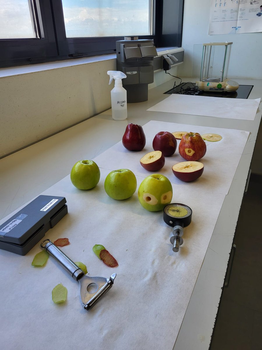 EATarrega's tweet photo. 🌱Dilluns, l’alumnat del #CFGM #ProduccióAgropecuària a distància que oferim amb @iocinstitut va visitar @irtacat per conèixer els paràmetres de qualitat en fruita i les instal·lacions. A la tarda, va continuar a l’hort de l’escola. Preinscripció i matrícula fins al 15 de juny! https://t.co/SNHanQSXwA