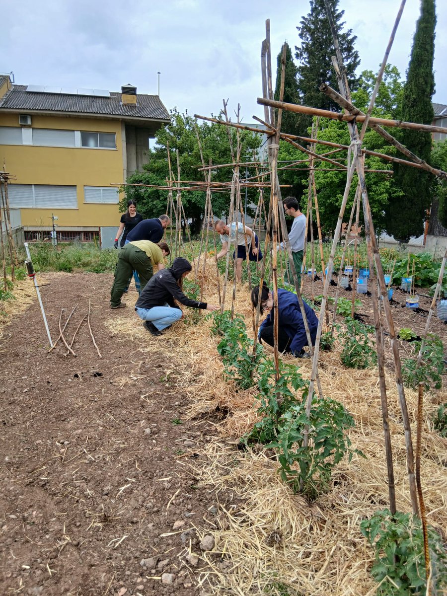 EATarrega's tweet photo. 🌱Dilluns, l’alumnat del #CFGM #ProduccióAgropecuària a distància que oferim amb @iocinstitut va visitar @irtacat per conèixer els paràmetres de qualitat en fruita i les instal·lacions. A la tarda, va continuar a l’hort de l’escola. Preinscripció i matrícula fins al 15 de juny! https://t.co/SNHanQSXwA