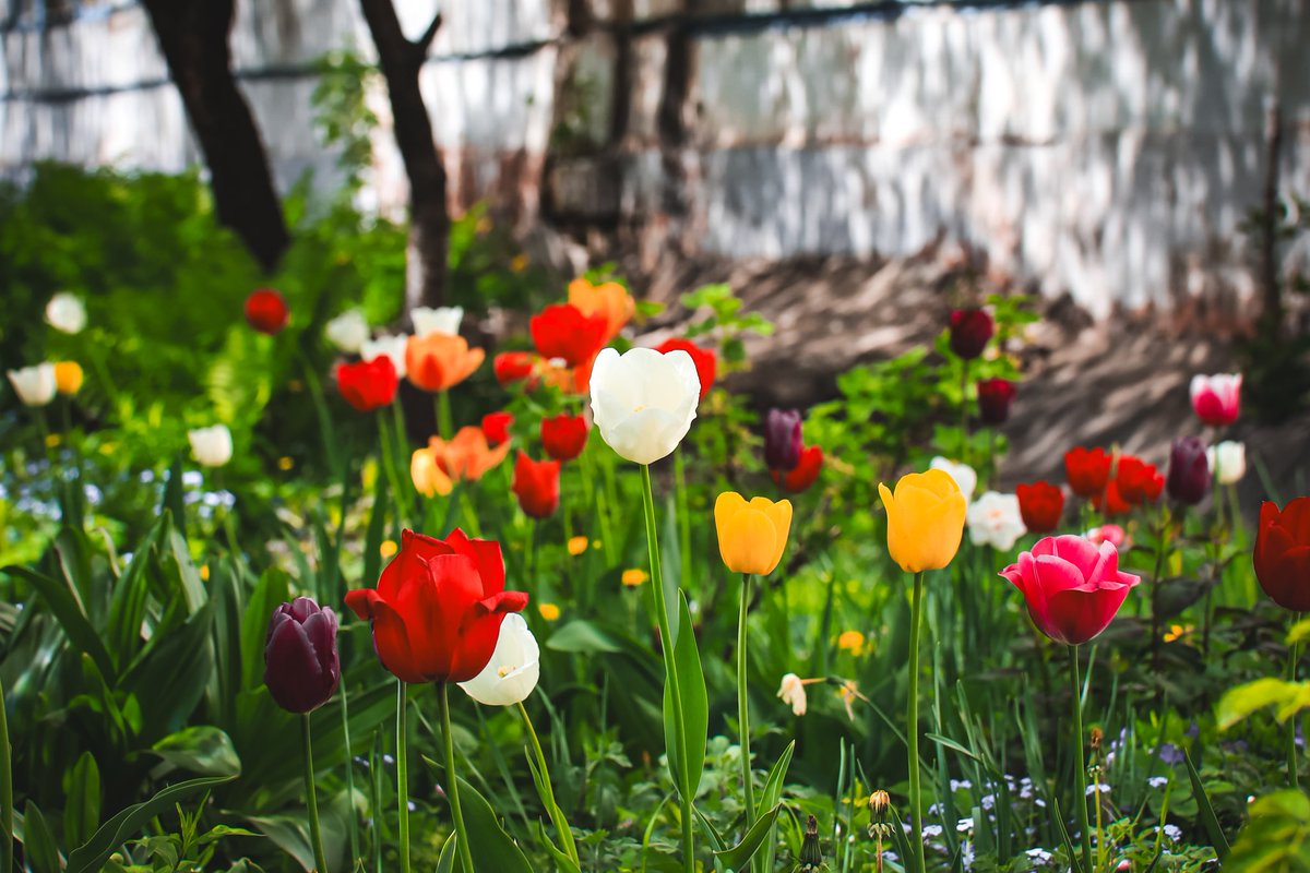 Spring vibe 📸