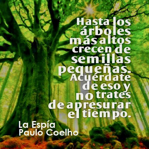 Juan Alberto Pineda (@jualpi3) on Twitter photo 