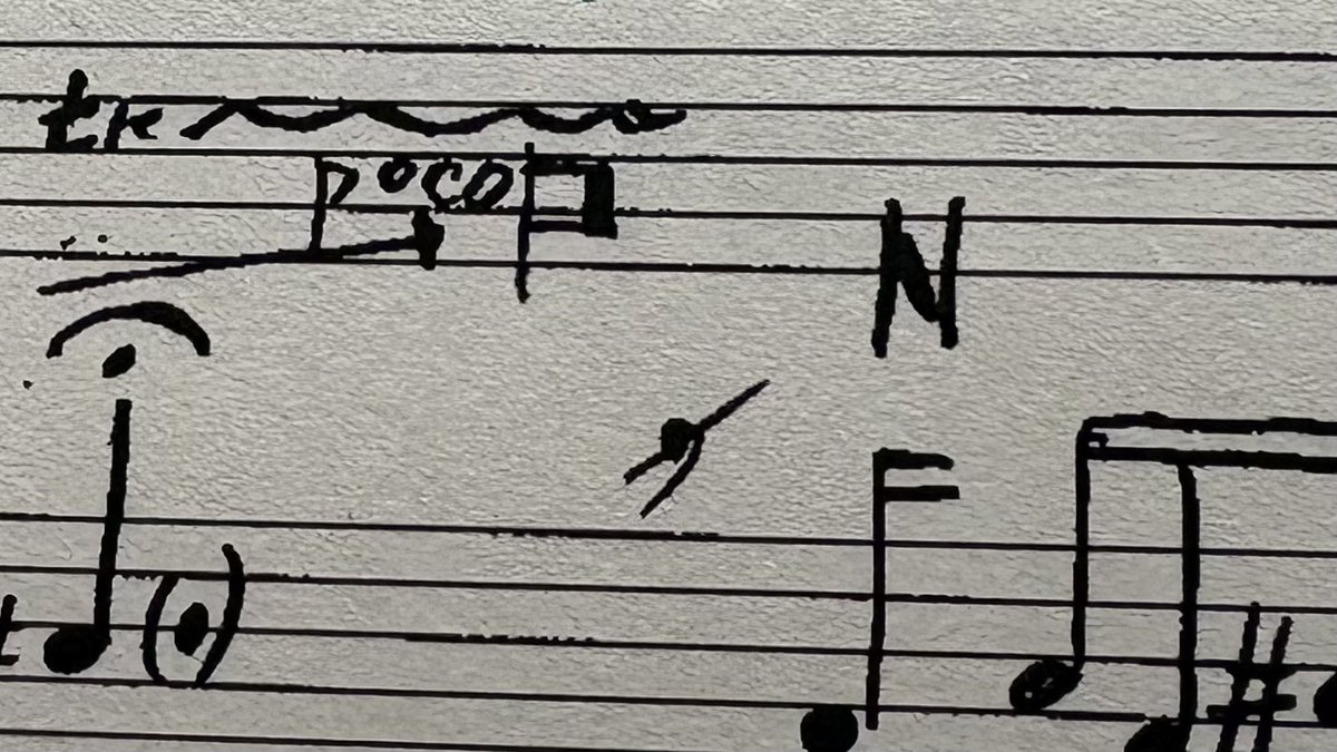 このP（？）とN（？）は、スルポンとナチュラルでいいのか？