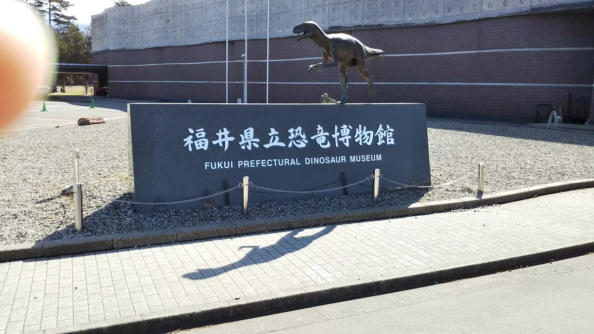ensyuritsu's tweet photo. 恐竜博物館は以前行きましたがとても楽しかったです。時間はいくらあっても足りないので注意してください。(笑) #シルクちゃんの部屋かっこ宣伝 https://t.co/CnCutAqBnK