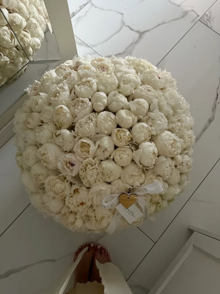 TheBeauty001's tweet photo. https://t.co/7etkMiMbKI