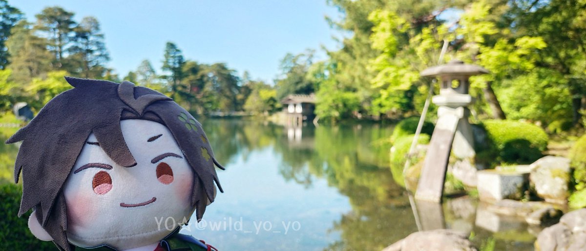 YO☆ tweet media