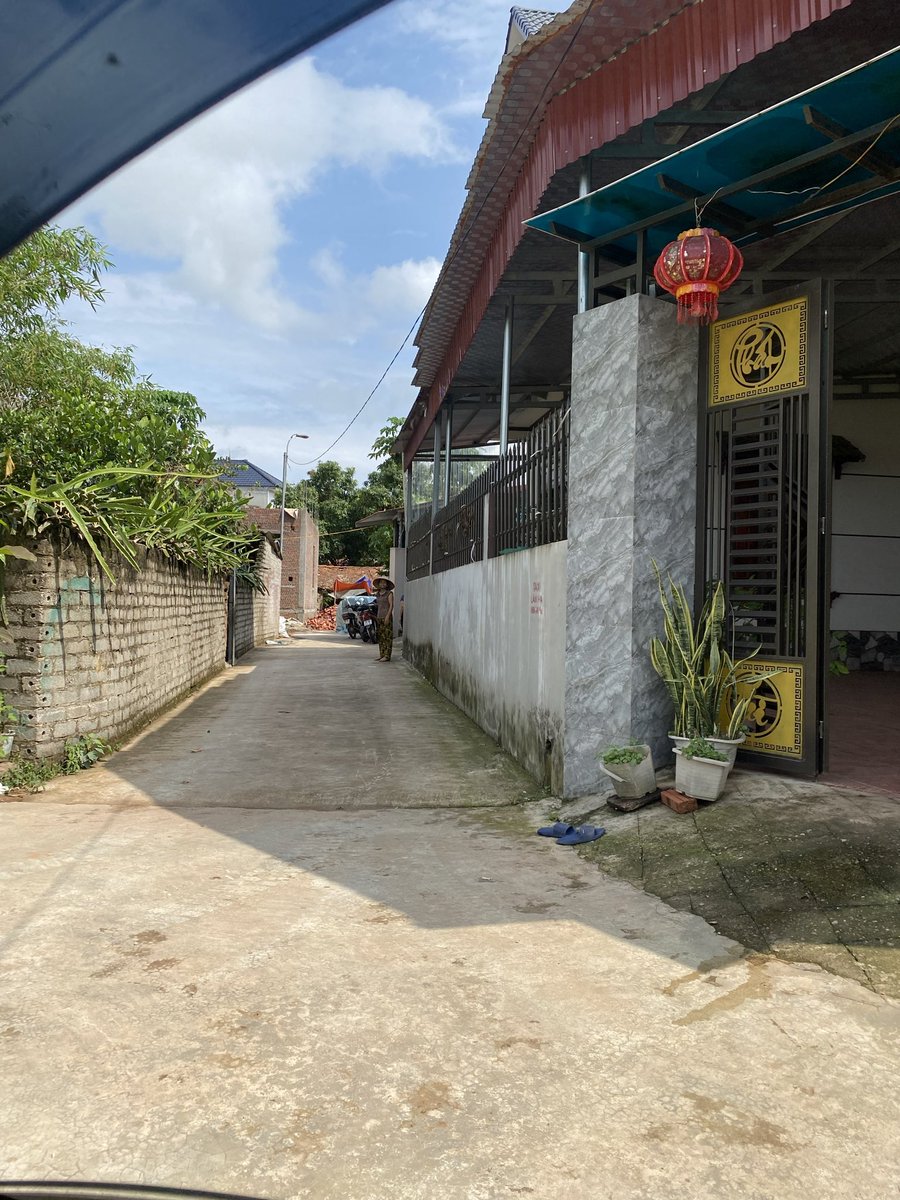 Thảo dân tweet media