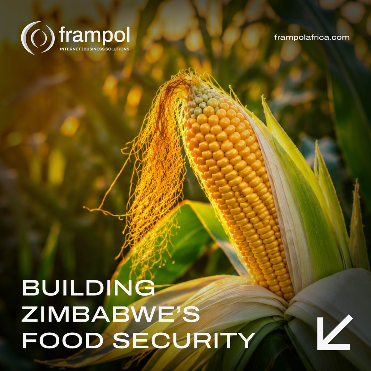 FrampolTech's tweet photo. Agriculture is evolving into a connected ecosystem powered by technology.

In this video: https://t.co/2HkMya22U5 Wellington Manwere from Interbaba Trading explains how digital tools, connectivity, and modern communication systems have helped improve efficiency across their operations, from record keeping and collaboration to supporting farmers nationwide.

As agriculture continues to modernize, reliable technology infrastructure is becoming increasingly important for scalability, efficiency, and long-term sustainability.

It’s great to see businesses in Zimbabwe embracing innovation to better serve the country’s agricultural sector and contribute toward food security.

Watch the full video here: https://t.co/2HkMya22U5

#Agriculture #AgriTech #DigitalTransformation #Technology #Connectivity #Zimbabwe #SmartFarming #BusinessGrowth #Innovation #Frampol