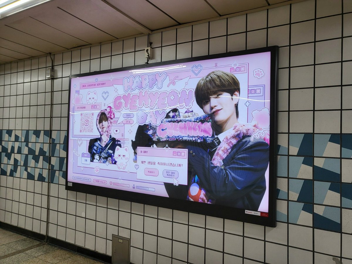 스타돌(STARDOL) tweet media