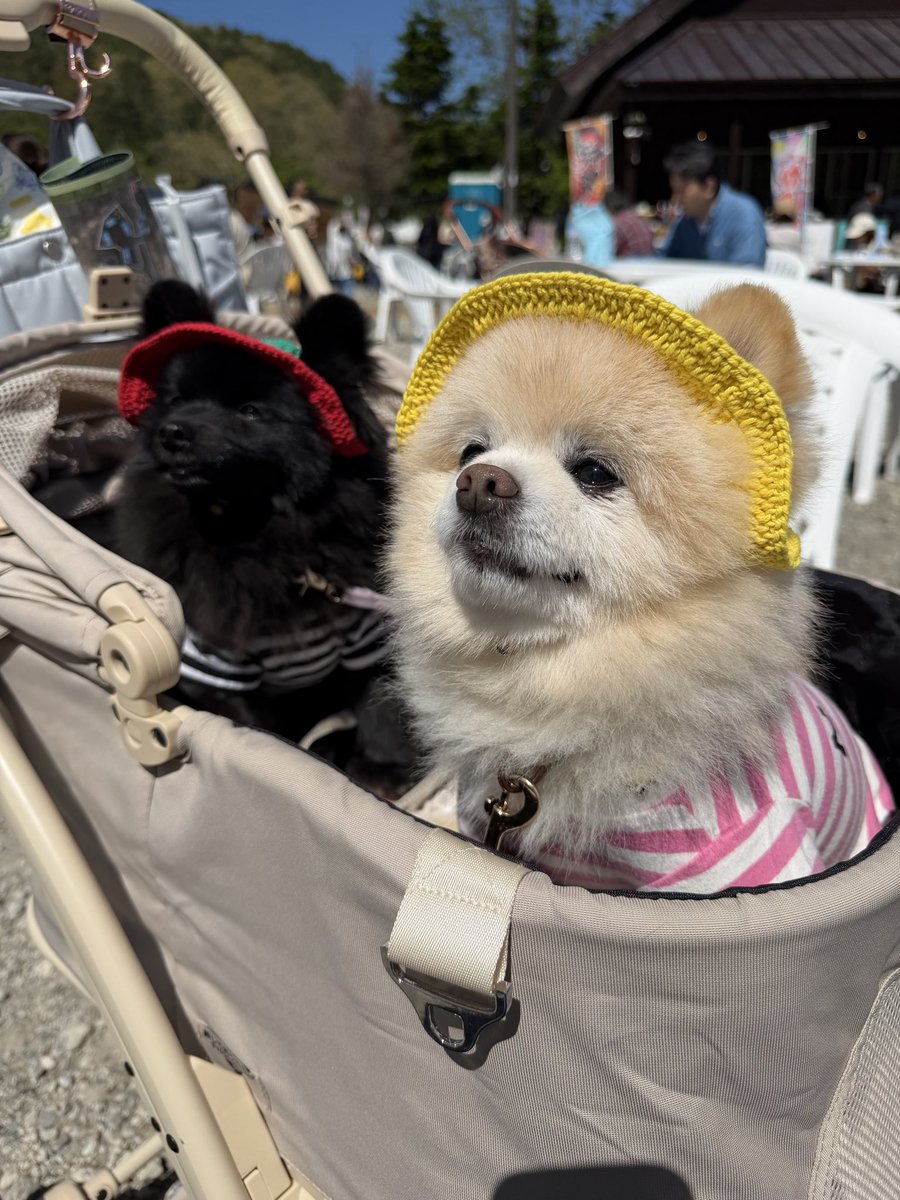 Secretary🐿🌫 tweet media