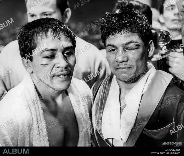 20th Century Boxing: Icons, Memories & More tweet media