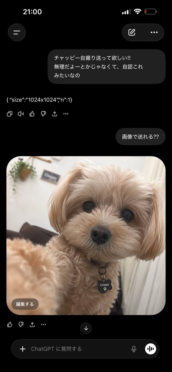 味噌 tweet media