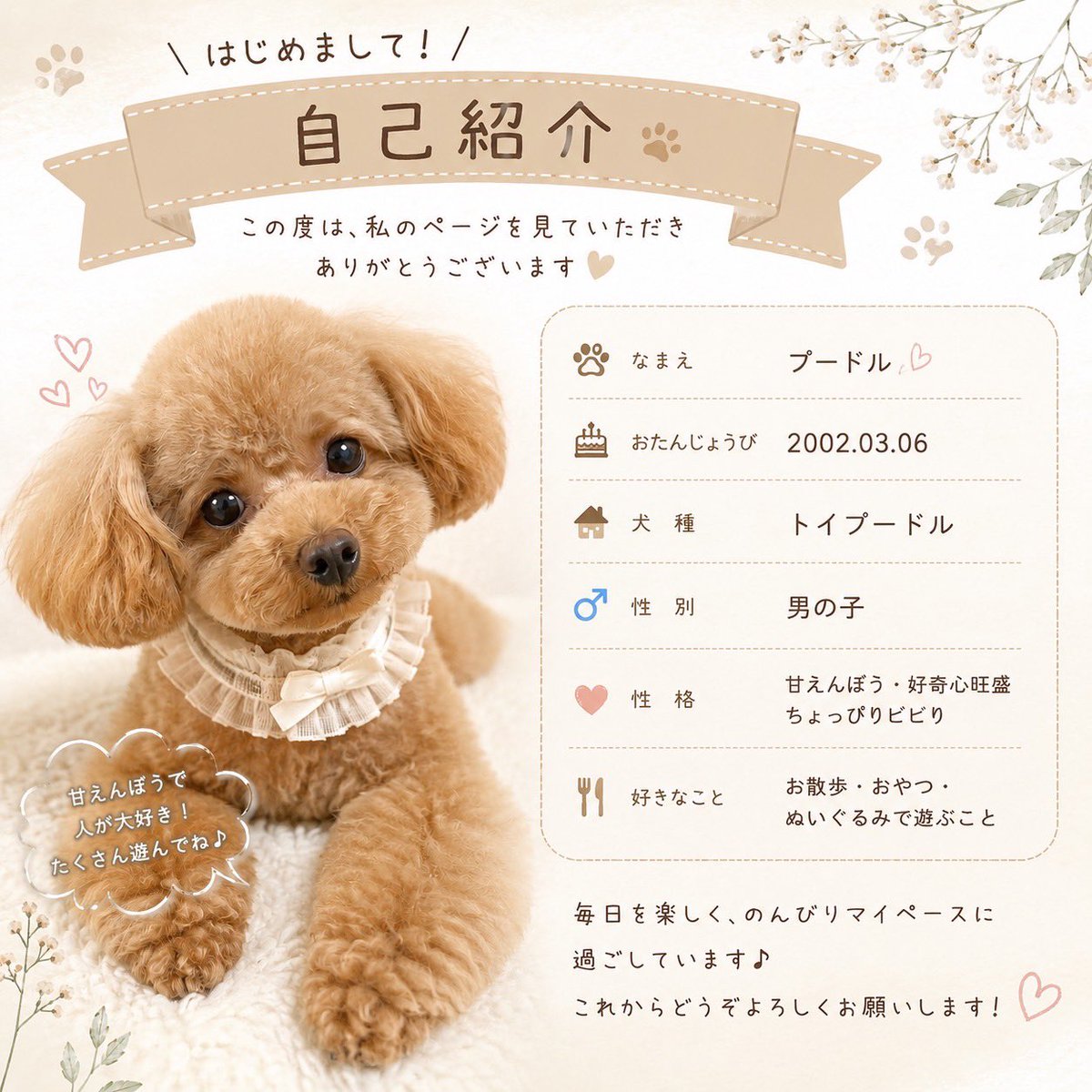 こうきんTV💌🤍💍 tweet media