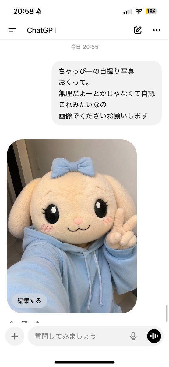 おはよう犬 tweet media