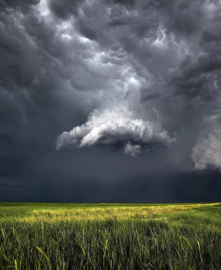 La #primavera no es sólo paisajes idílicos con flores y pajaritos. Las #tormentas, con nubes negras y truenos que cortan la respiración, sin parte necesaria del proceso. No hay belleza sin oscuridad, no hay éxito sin angustia y esfuerzo. Es la #vida