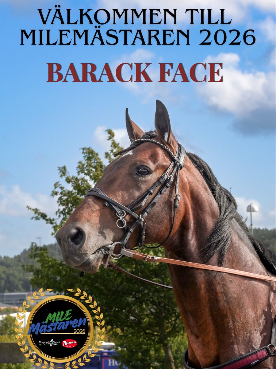 TingsrydTravet tweet media