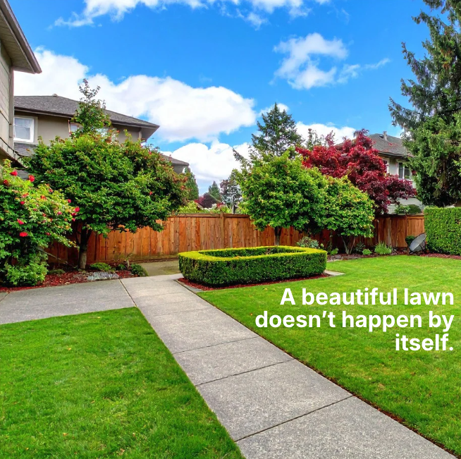 CustomTurfServ's tweet photo. Spring is your window. Miss it, and you spend all summer chasing problems. ☀️
Get started with our 8-round lawn program and your first treatment for just $33.
Fertilization, weed control, and seasonal protection handled the right way.
 
#DFWTurf #WeedControl https://t.co/gGFDXiBvJ2