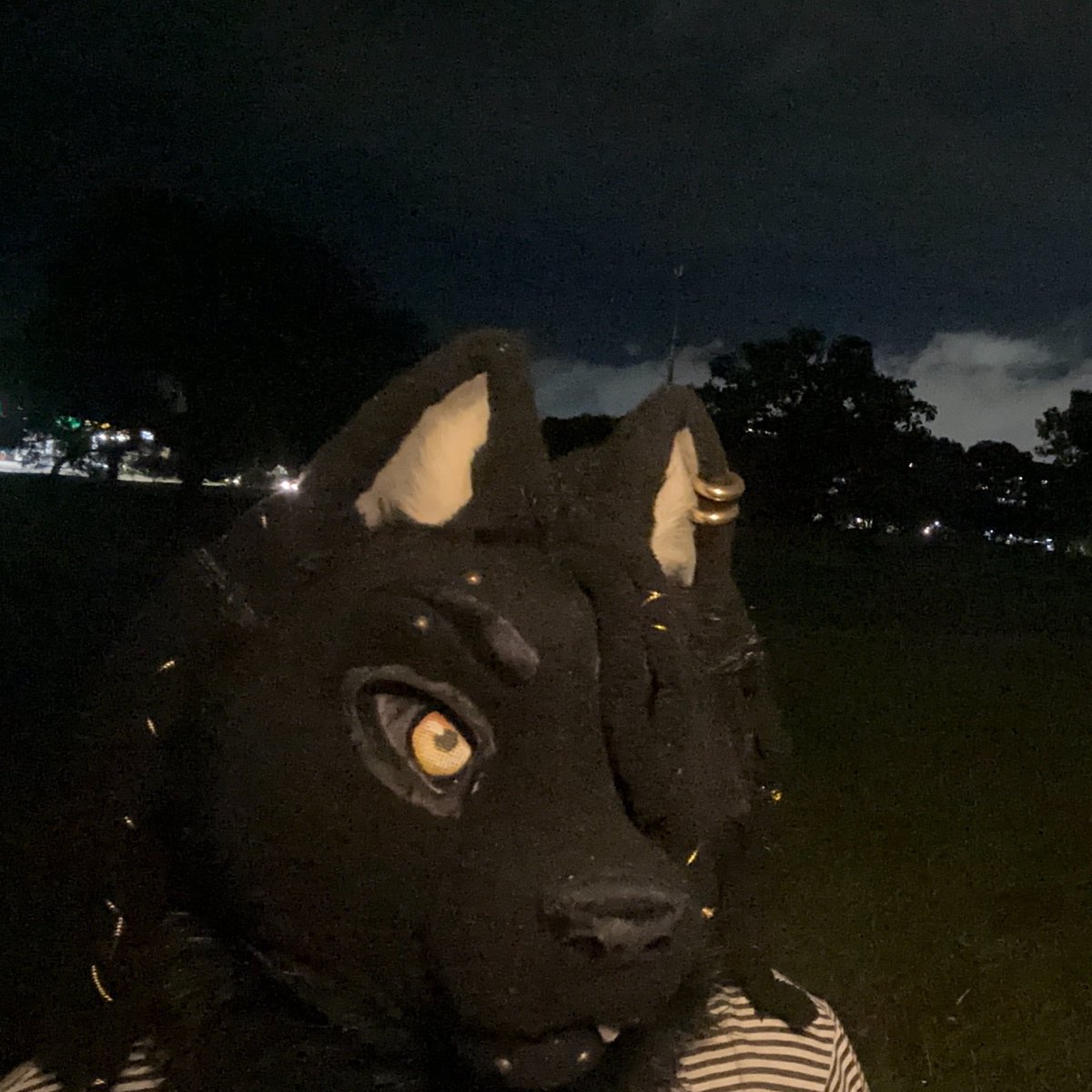 M4JORTHEWOLF tweet media