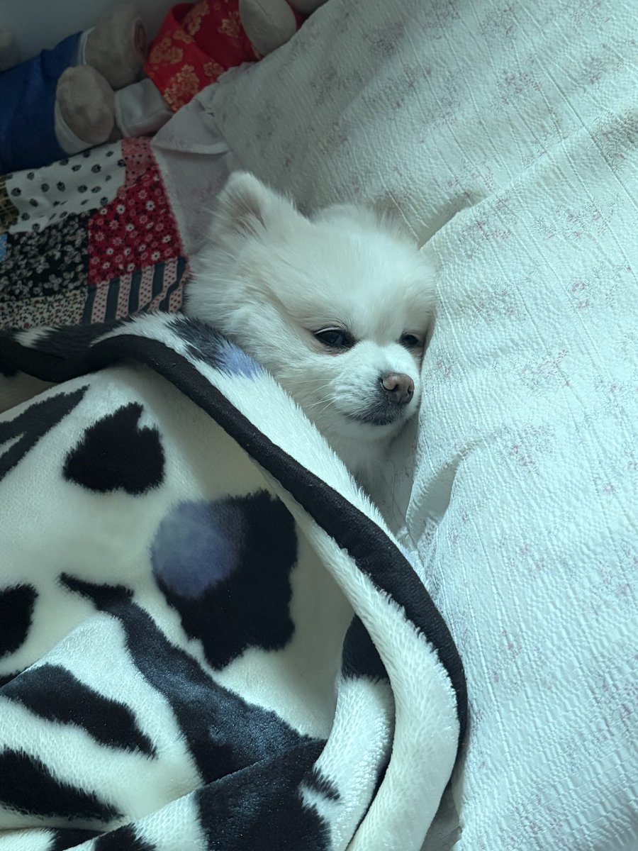 매울신과함께예찬 tweet media