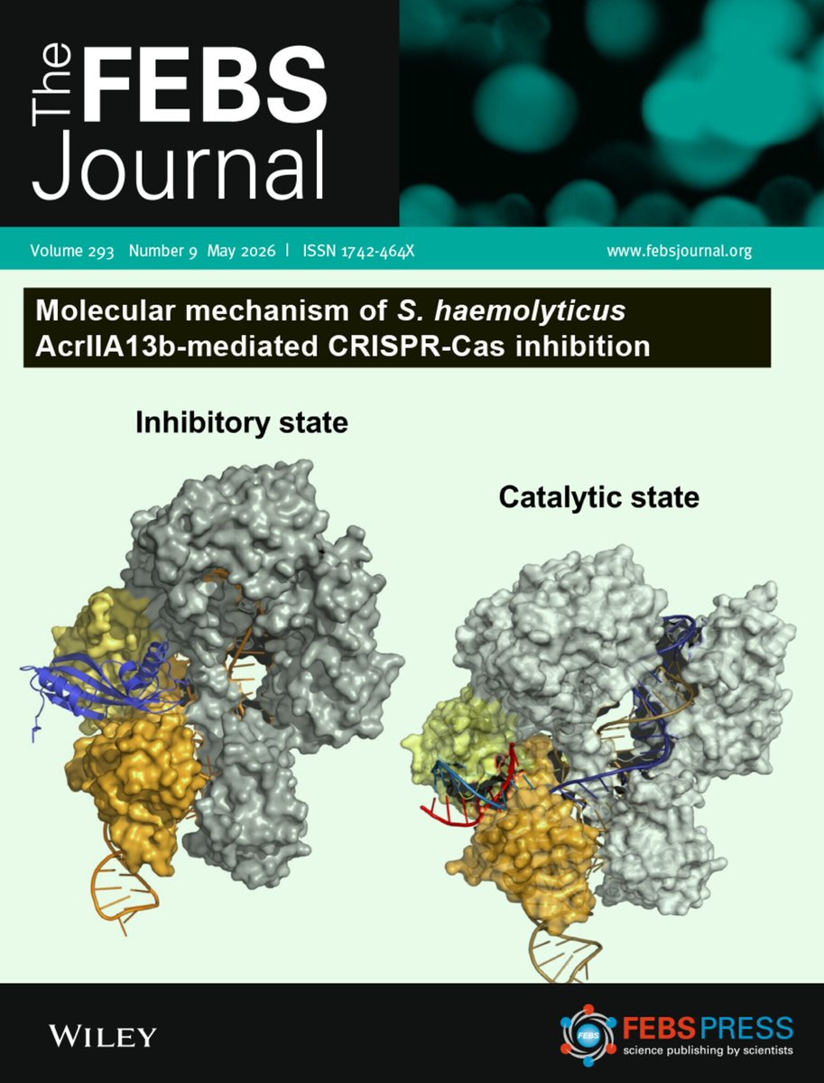 The FEBS Journal tweet media