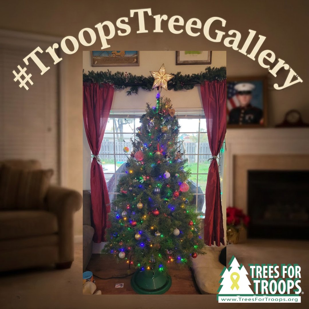 Trees for Troops tweet media