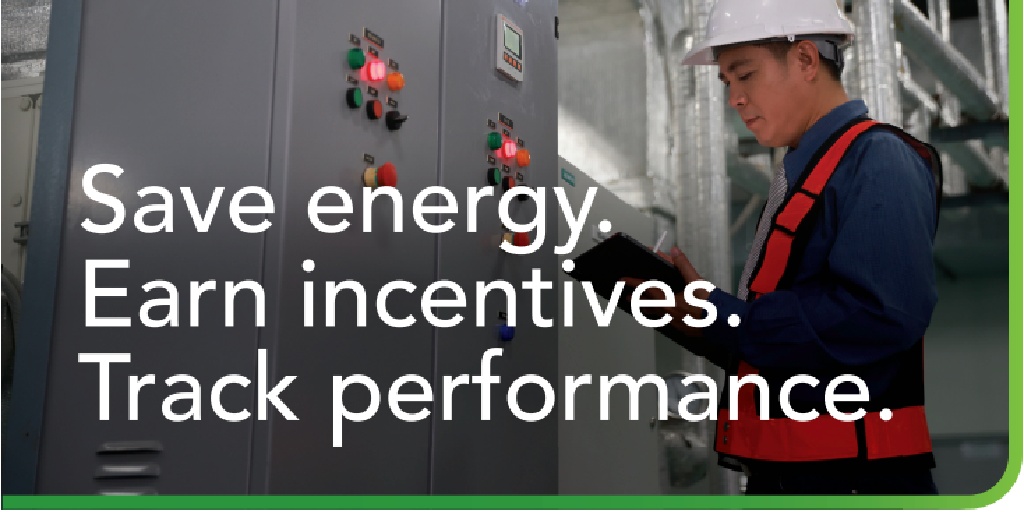 WellingtonNorthPower tweet media