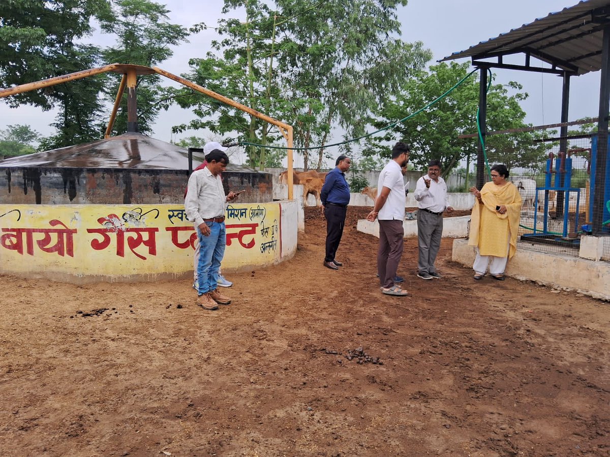 DD(P) Kanpur tweet media