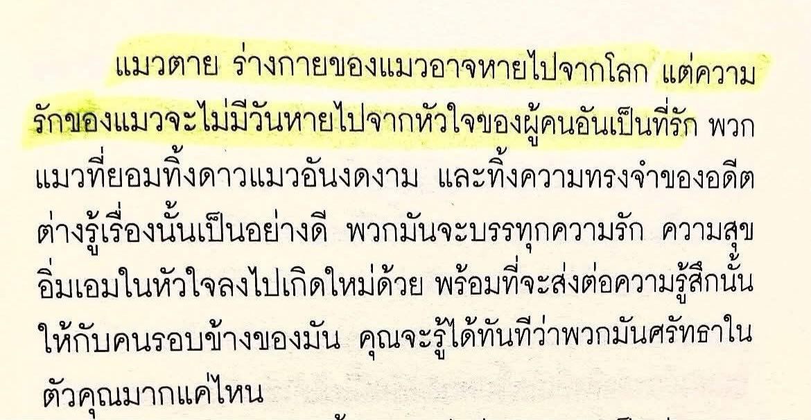 ร้านกลิ่นหนังสือ tweet media