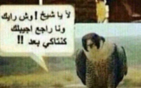 مكتّف🇦🇷✨ tweet media