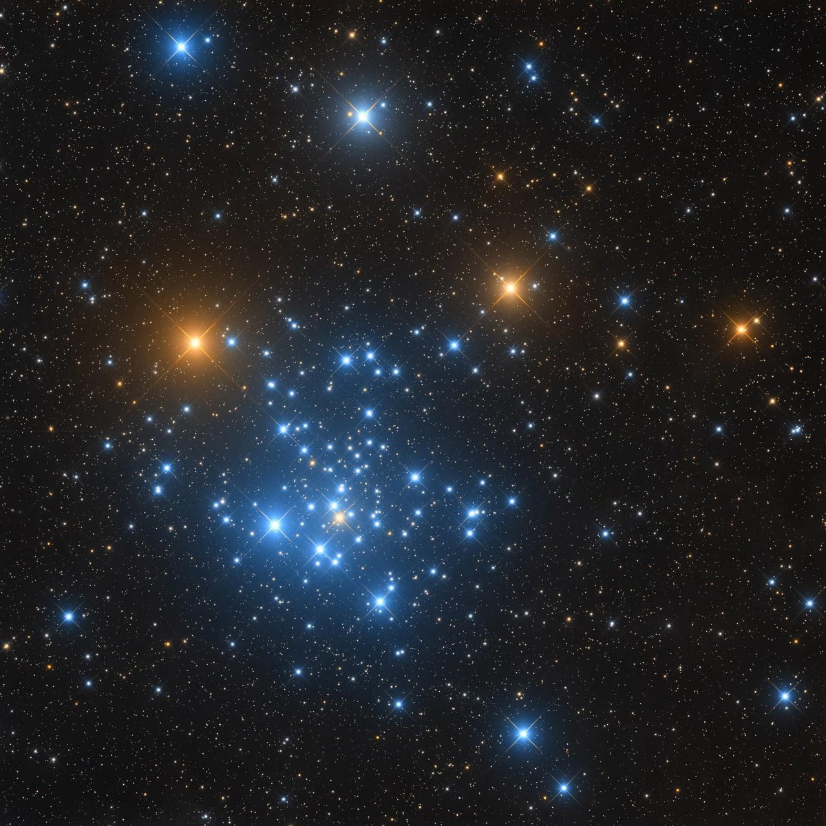 AstroBin's Image of the Day: "Open cluster NGC 2516 in Carina" by Massimo Di Fusco

astrobin.com/ms79kv/

#astrophotography