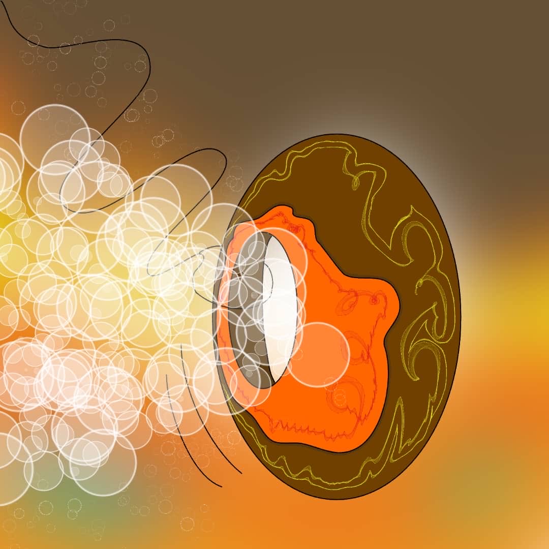 wealthhub_'s tweet photo. Proof of Art for @DonutAI 

Blowing bubbles through market noise.

Donut AI filters the chaos and delivers smooth execution.

@InternDonut
@GigiWillliams https://t.co/gkWZptWsmE